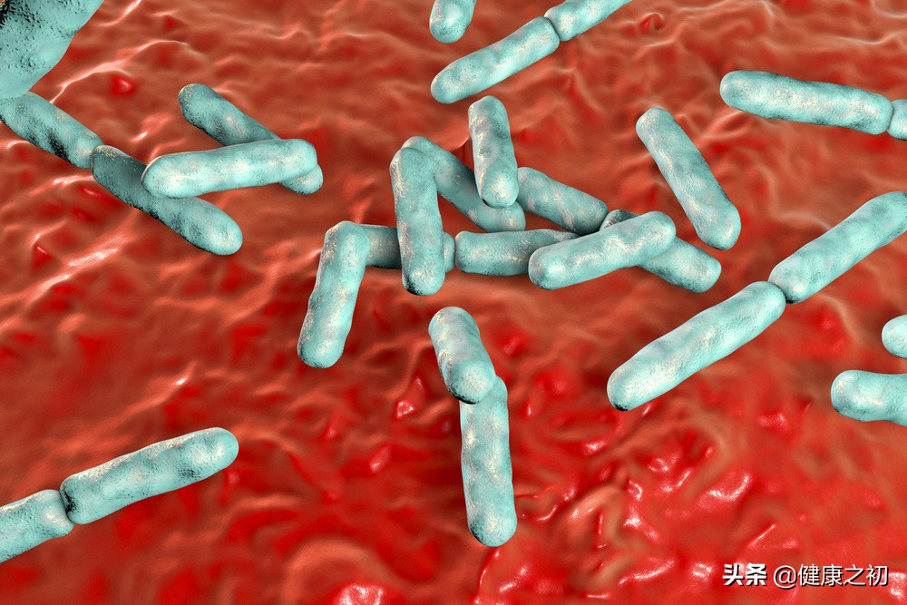 乳酸菌胶囊没有放冰箱怎么办,乳酸菌饮品可以放冰箱保鲜吗
