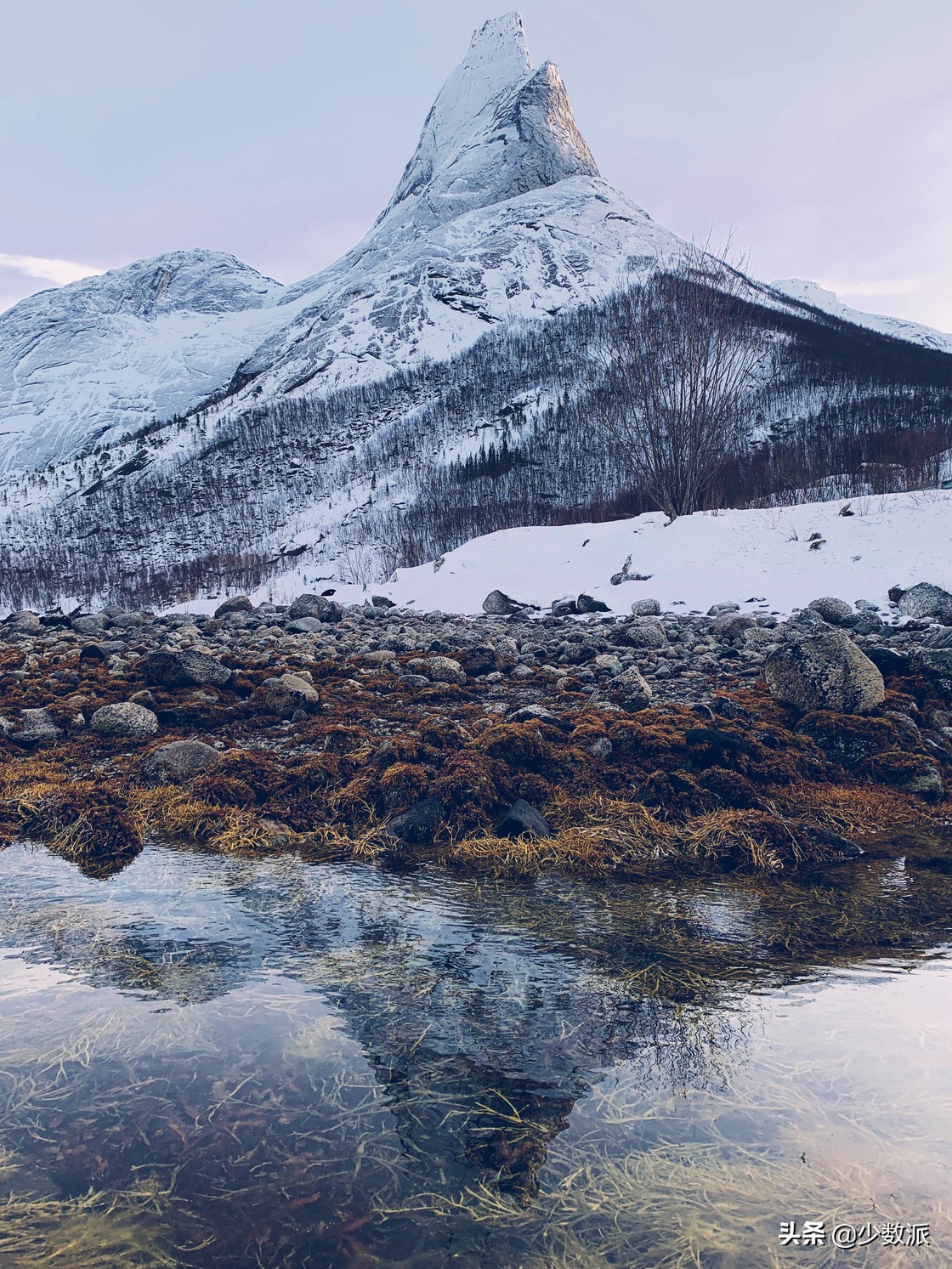 iphone怎么拍最高清的照片,怎样用iphone拍出好看的照片视频