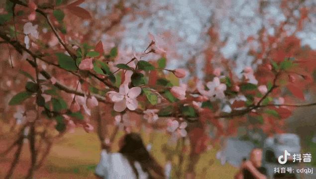 成都春游好去处周末 (成都周边周末春游推荐)