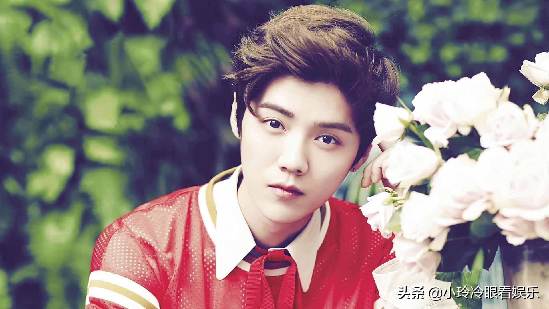 鹿晗关晓彤爱情故事,鹿晗关晓彤的爱情故事