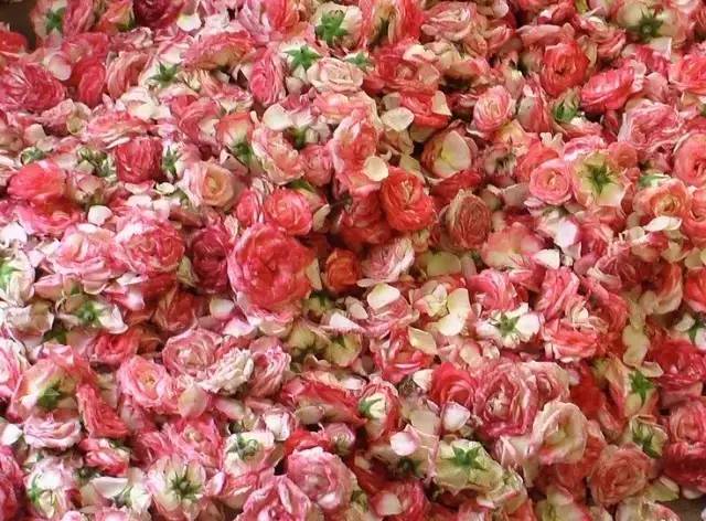 世界香水之都,法国最好的香水镇