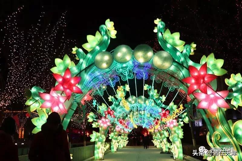 天津元宵节花灯去哪看,天津灯会元宵节津南