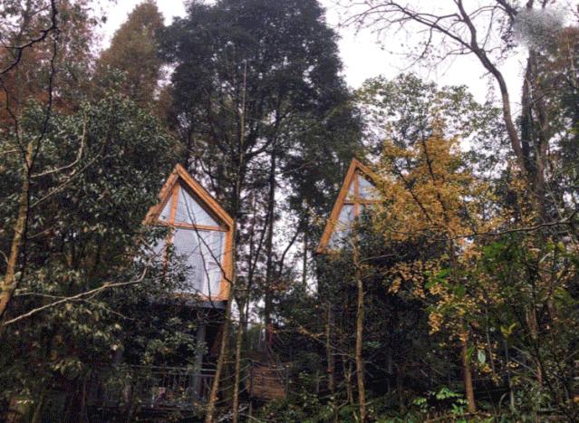 成都周边拍照打卡民宿,成都适合拍照的网红打卡地民宿