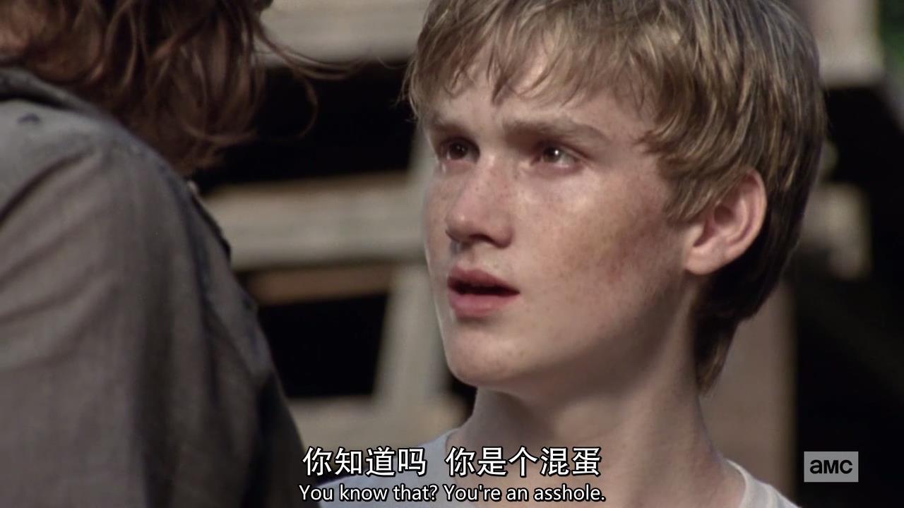 行尸走肉s01,行尸走肉9-12季讲解大全