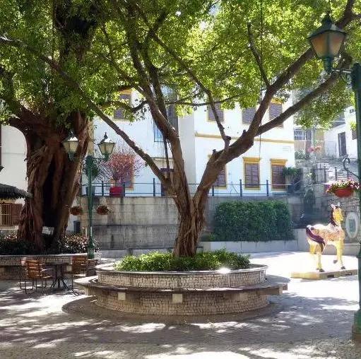 1999年澳门回归祖国升旗仪式,澳门回归祖国20年来的发展经验