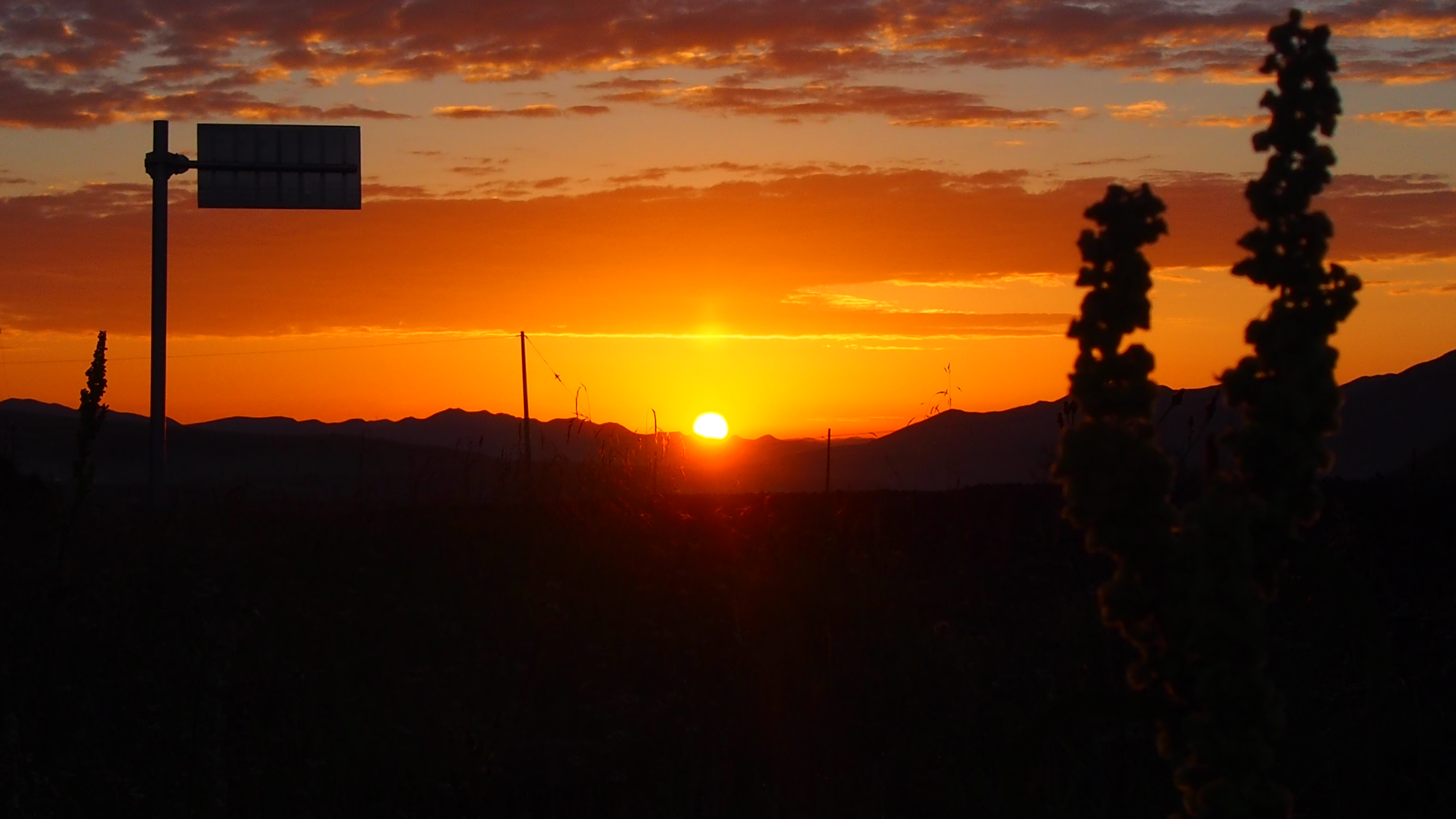 我如何应对逆境与挫折,我该如何面对现在的困境