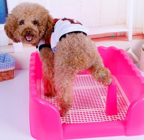 狗狗在笼子里乱拉乱尿怎么办,禁止狗狗乱尿的喷雾剂有用吗