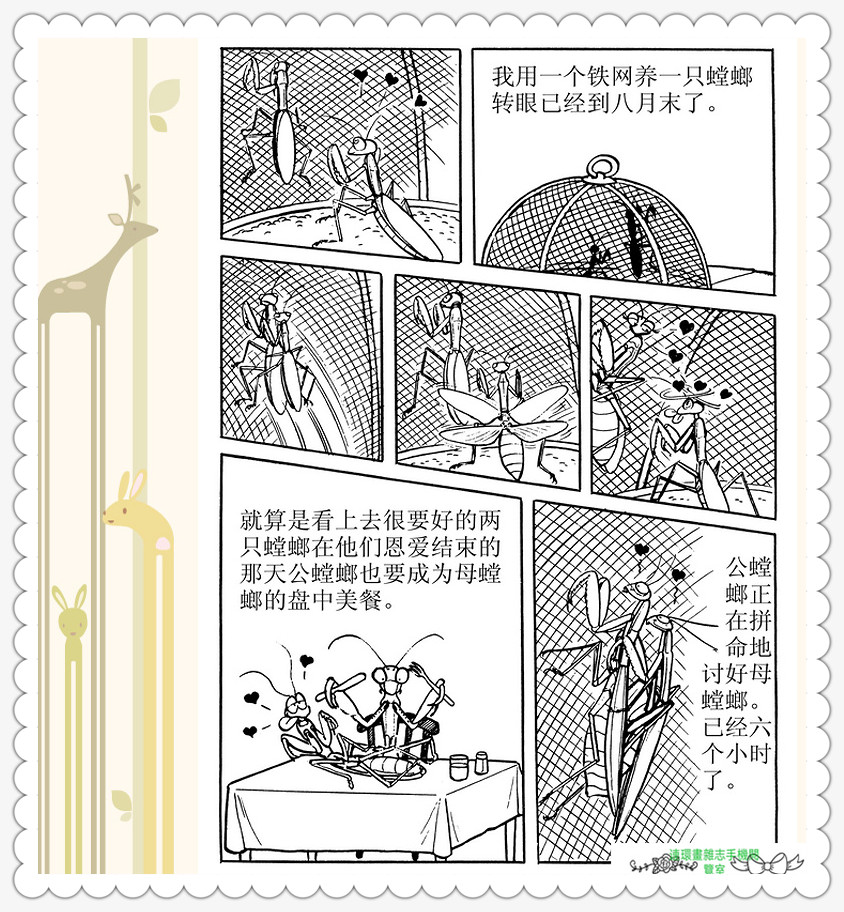 昆虫记法布尔动画片,昆虫记法布尔全套