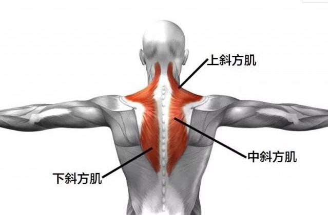 肩膀僵硬最快解决办法,肩膀僵硬怎么快速缓解