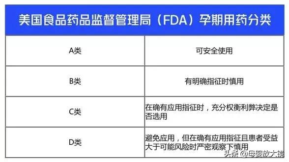 一张图了解孕期,一图看懂孕期食物