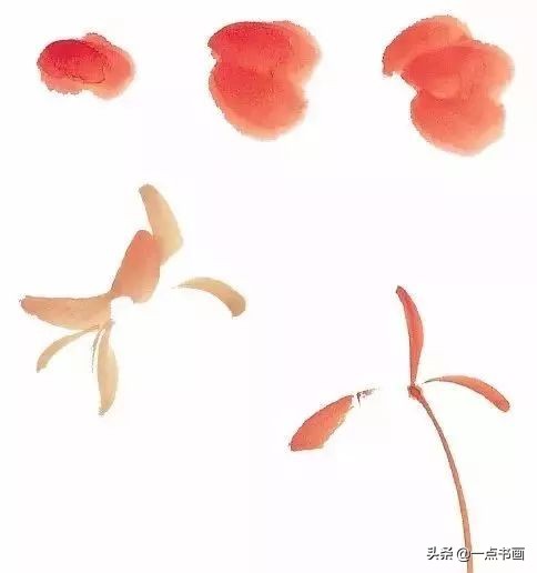 王绣写意牡丹画法步骤,王兮然写意牡丹画法视频大全