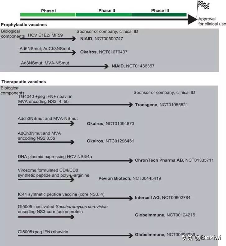 丙肝没病毒了还需要治疗吗,没有病毒的丙肝能传染吗