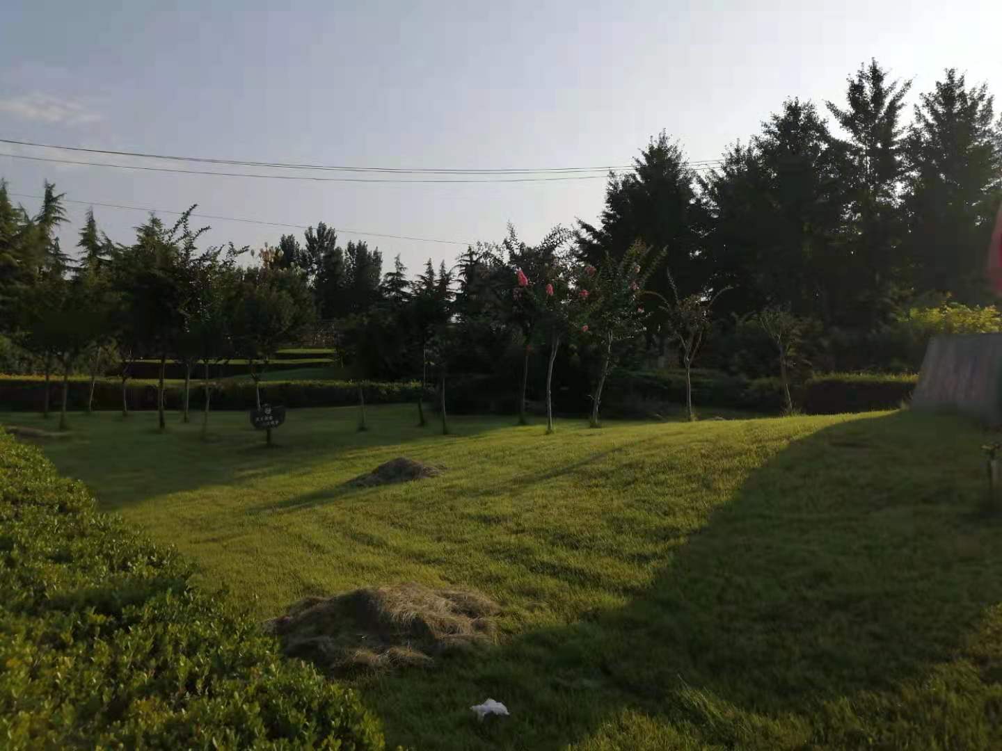 驼梁一日游日记,五台县南驼梁游记