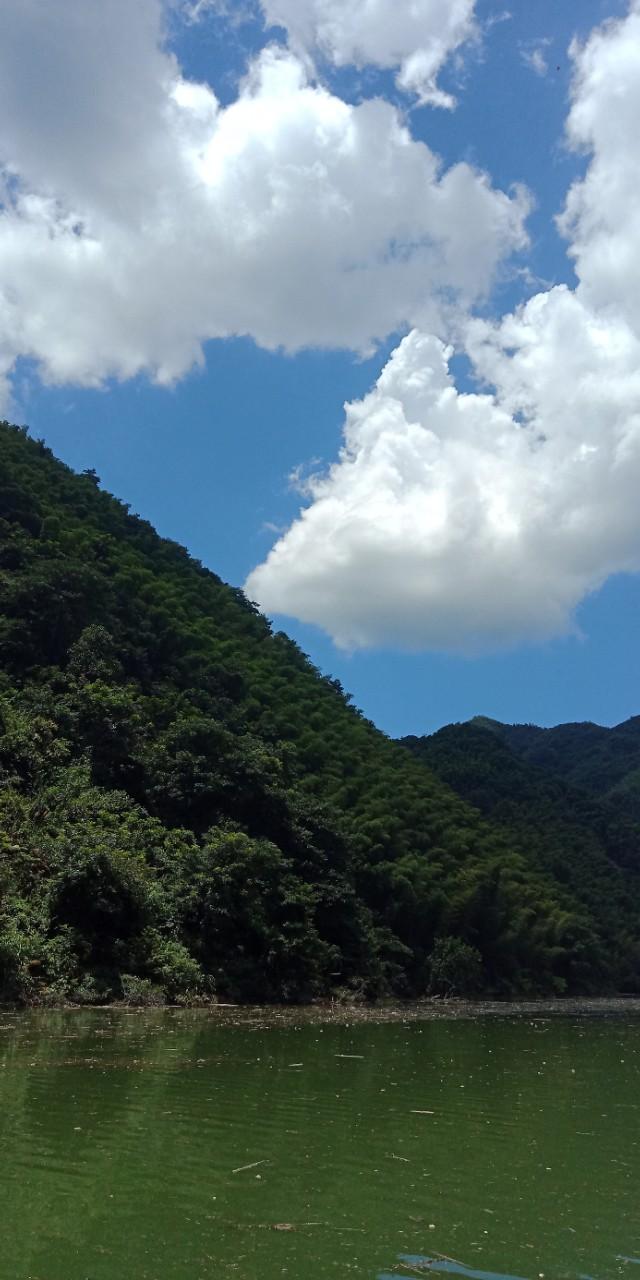 九州文学南京诗社作品,九州文学社作品