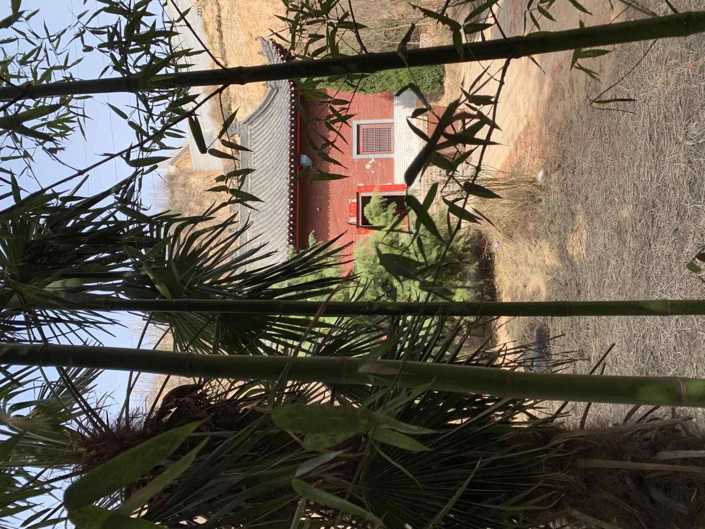 洛阳孟津乡村振兴,孟津县朝阳镇乡村振兴