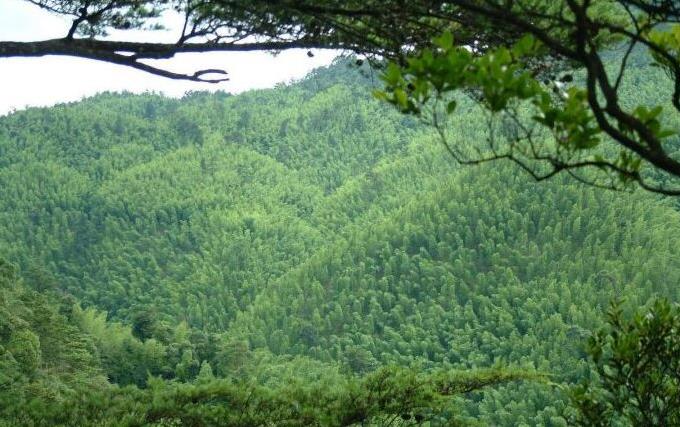 对越作战绝密录像,对越自卫反击越南狙击手