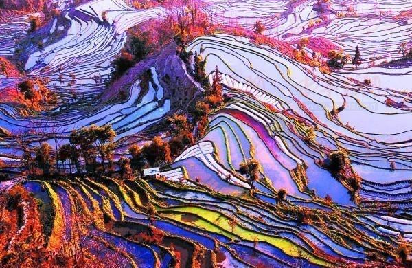 一生必去的云南,一生必去50个地方云南有几个