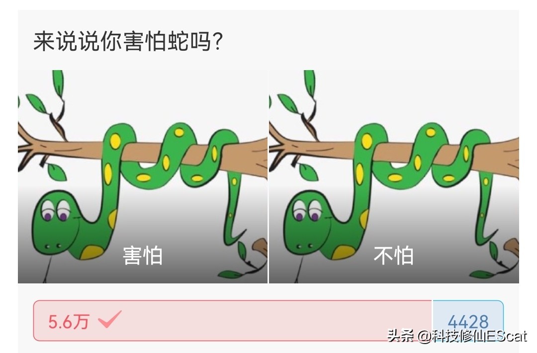 蟒蛇吃人国家赔钱吗,蟒蛇被抓为何会吐食物