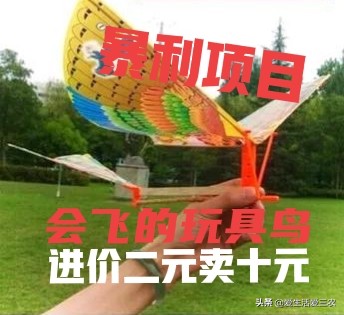 鲁班飞鸟的价格是多少,鲁班飞鸟好卖吗