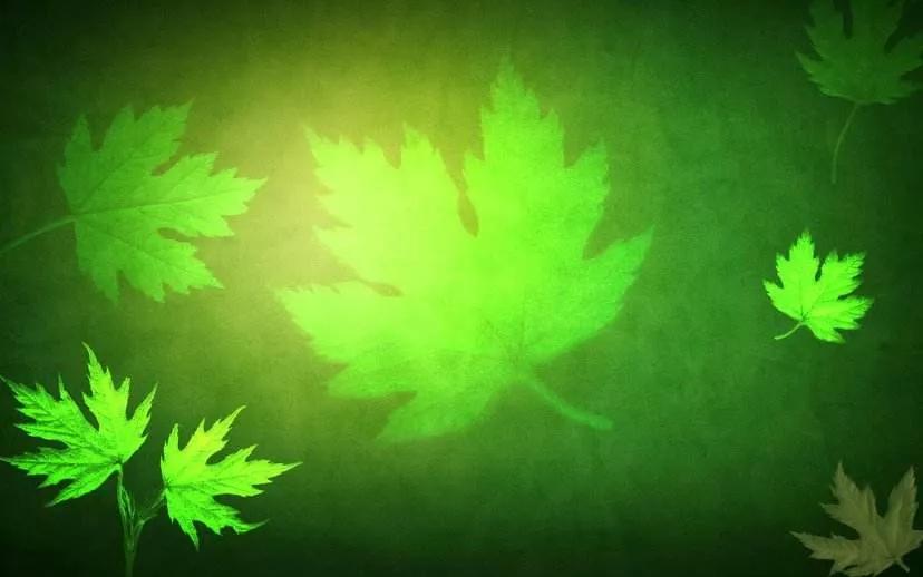 山瘦水寒代表什么,山瘦水寒含义