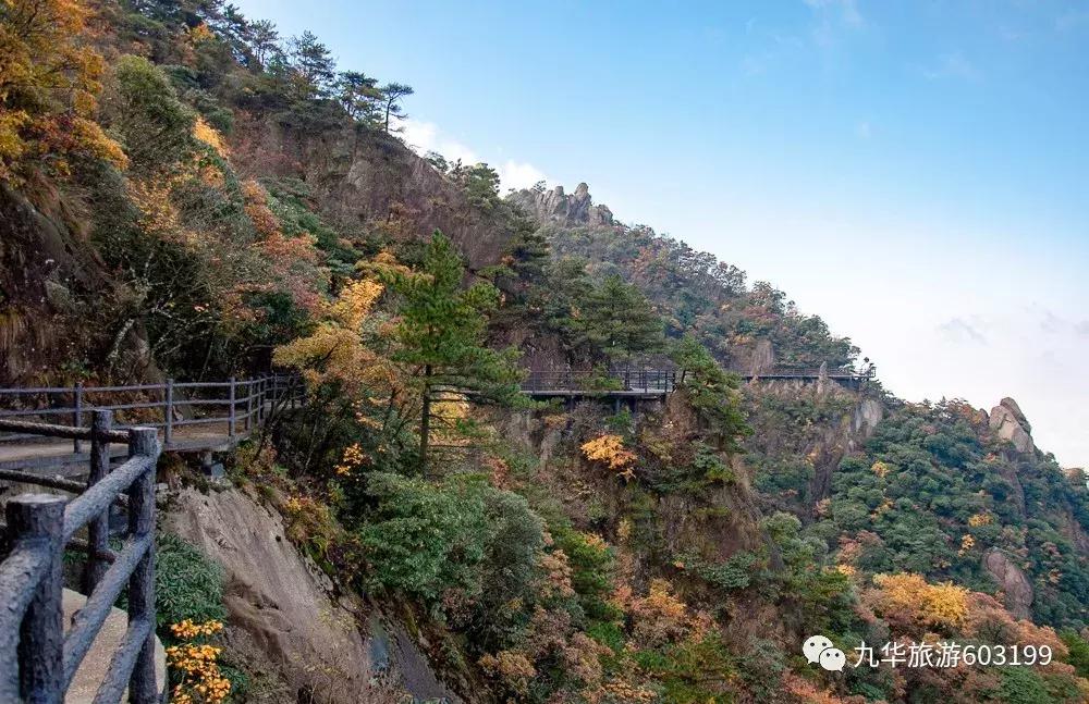 九华山游玩攻略免费门票,九华山风景区门票包含哪些景点