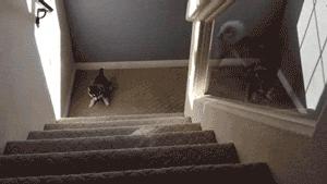 一个靠打牌财富自由的小镇做题家「货拉拉发家史」