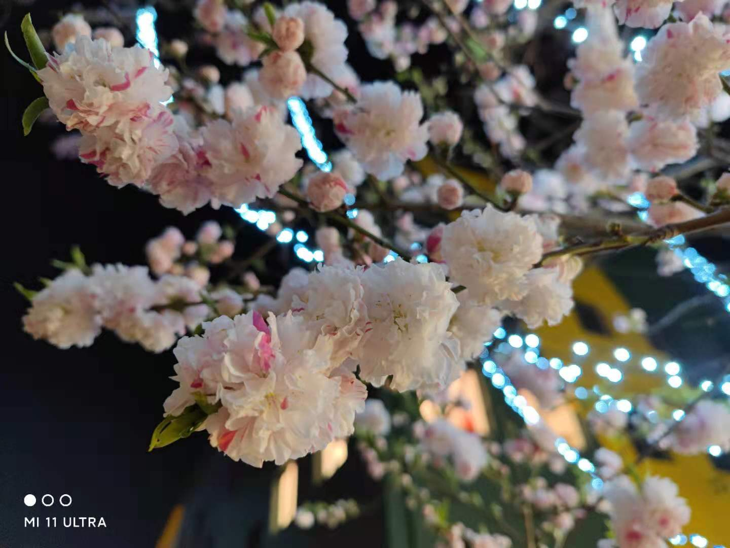 带着小米11ultra去旅行,小米12sultra川西行