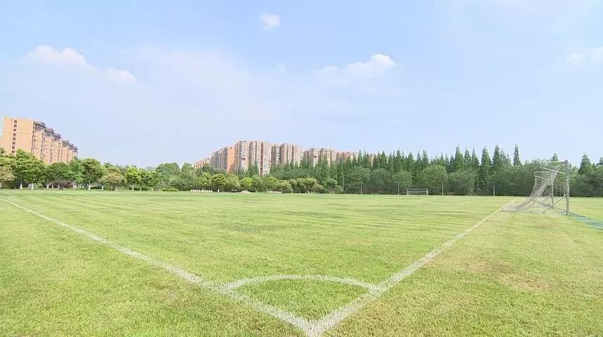 动次打次、动次打次……动动动动动动起来