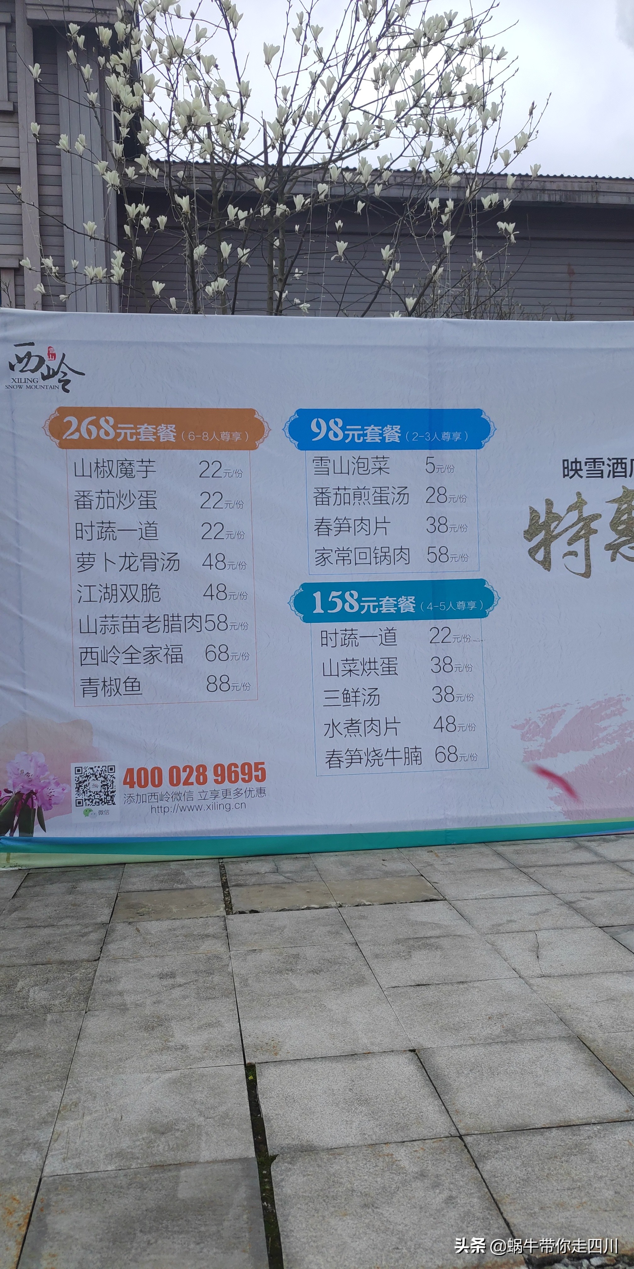 成都去西岭雪山两天一夜旅游团,成都出发雪山旅游
