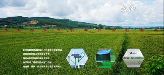 五谷杂粮有什么好吃的,多种的五谷杂粮超级好吃