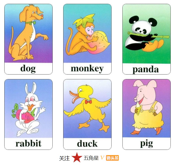 小学三年级英语单词识图卡,少儿英语看图片学单词工具篇