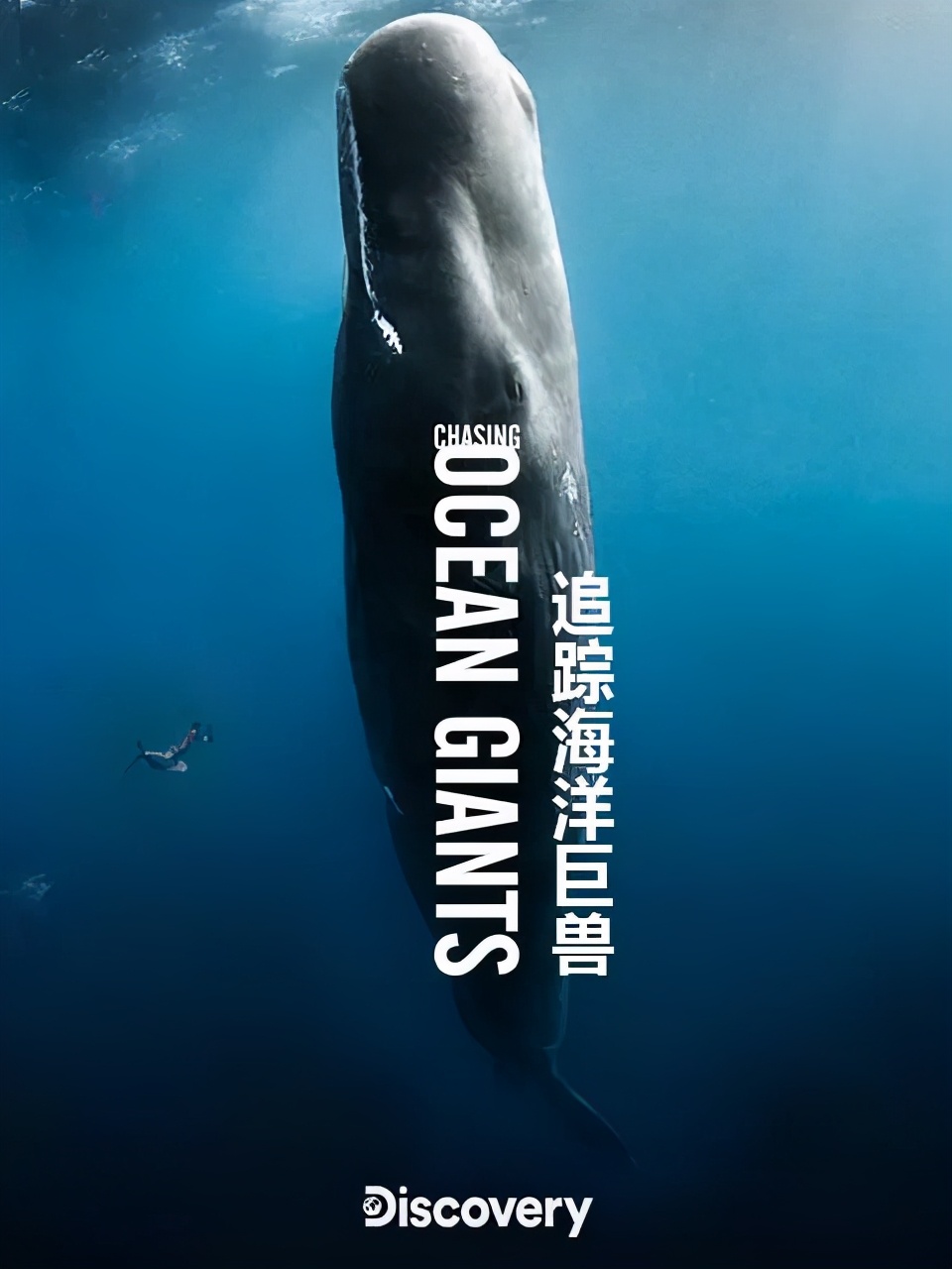 孩子必看海洋纪录片,海洋深处的未知生物纪录片推荐