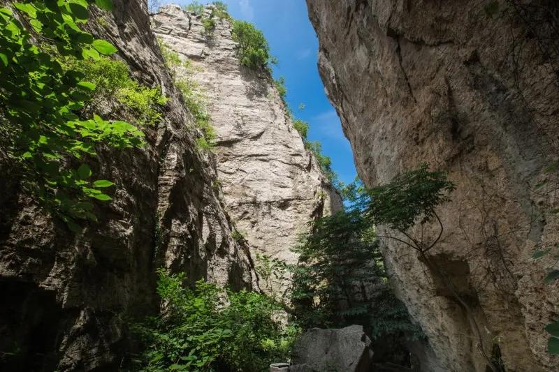 抱犊崮风景区高考门票免费,抱犊崮门票半价政策
