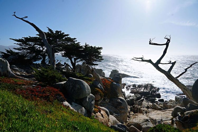 美国德州西部自由行,美国西海岸可以自由航行么