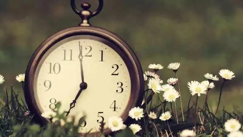 「师仁作品专栏」时间的颜色、味道和意义,第二十六期