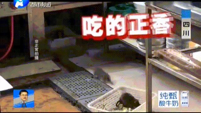网红炸鸡店被曝光,外卖黑心商家食品曝光