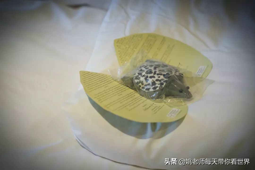 早晨的黄山悦榕庄,黄山悦榕庄特点