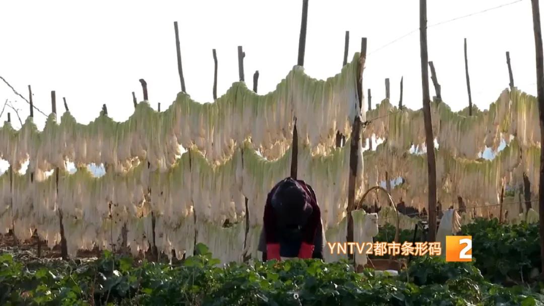 香椿萝卜条,香椿芽蒜薹