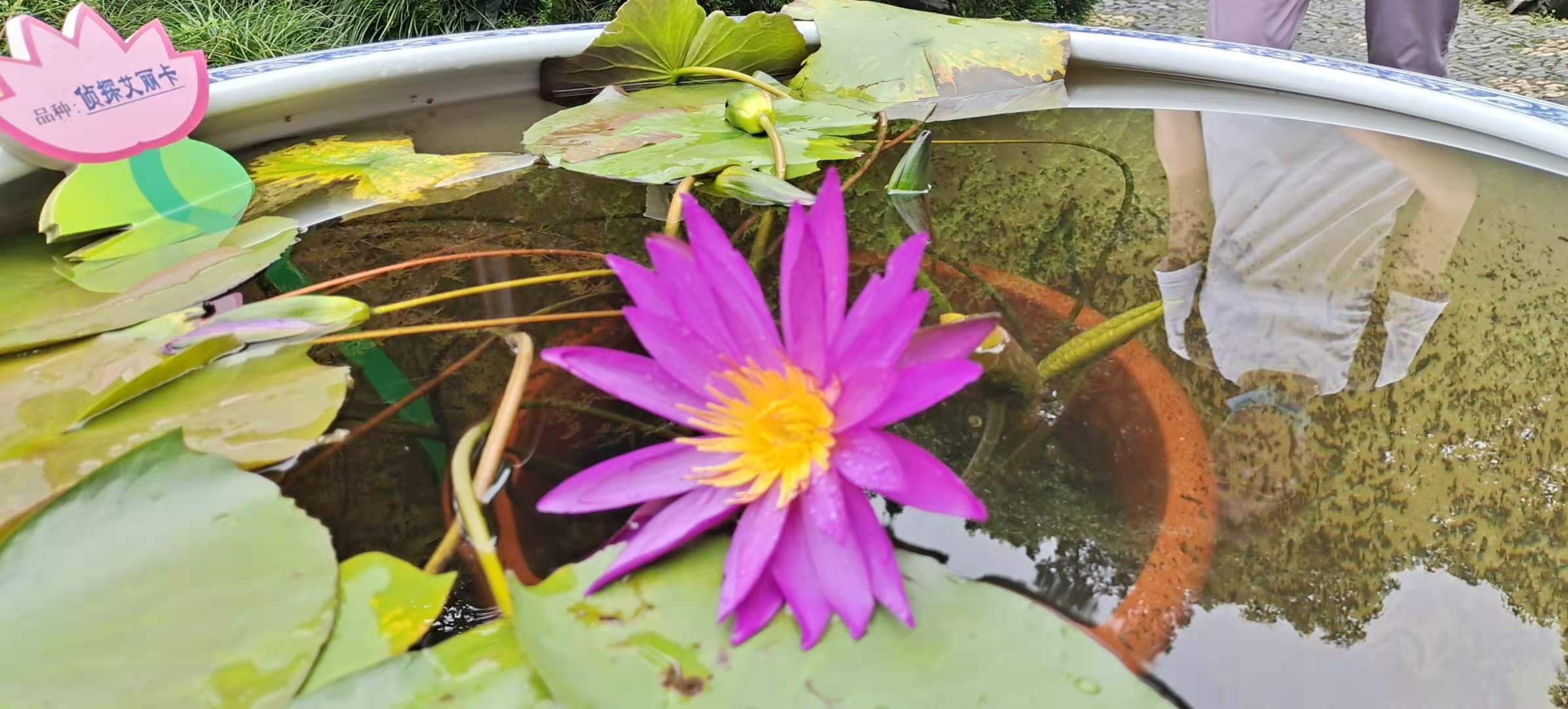 西湖郭庄景区,西湖区郭庄