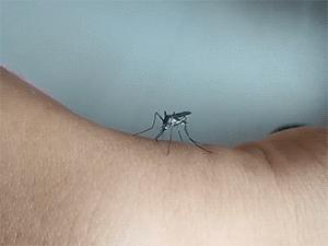 搞笑视频专治不开心,搞笑动图gif女司机