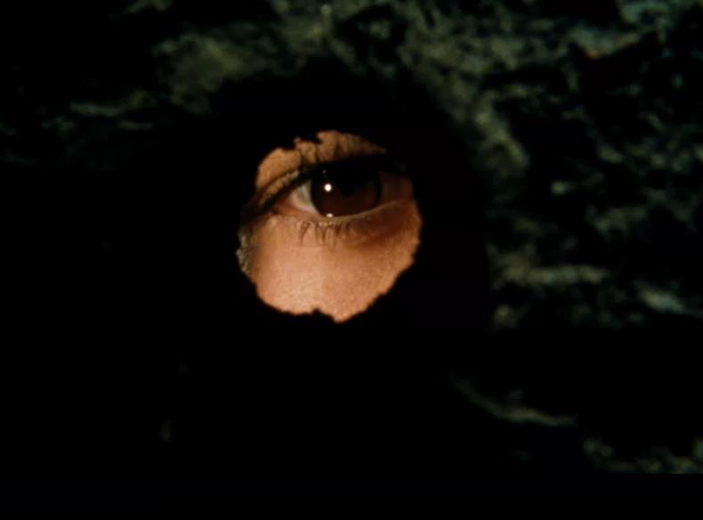 那个冲不破枷锁的男孩，哪里也逃不掉，评《西西里的美丽传说》