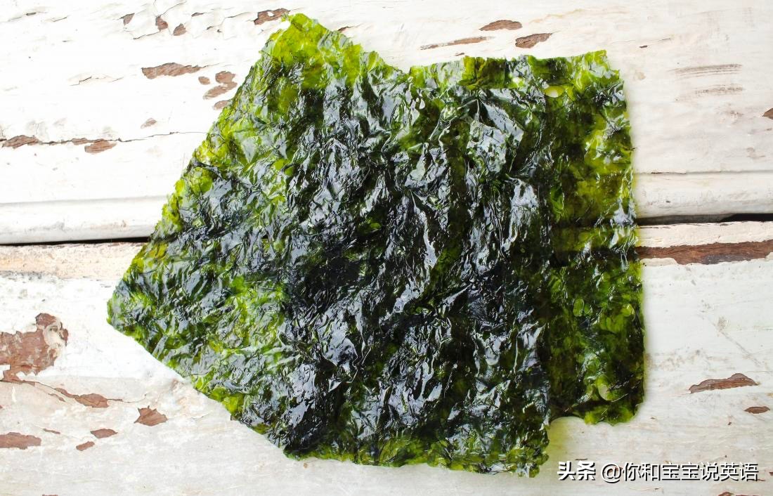 春游野餐食物清单英语 (关于野餐可以说的亲子英文)