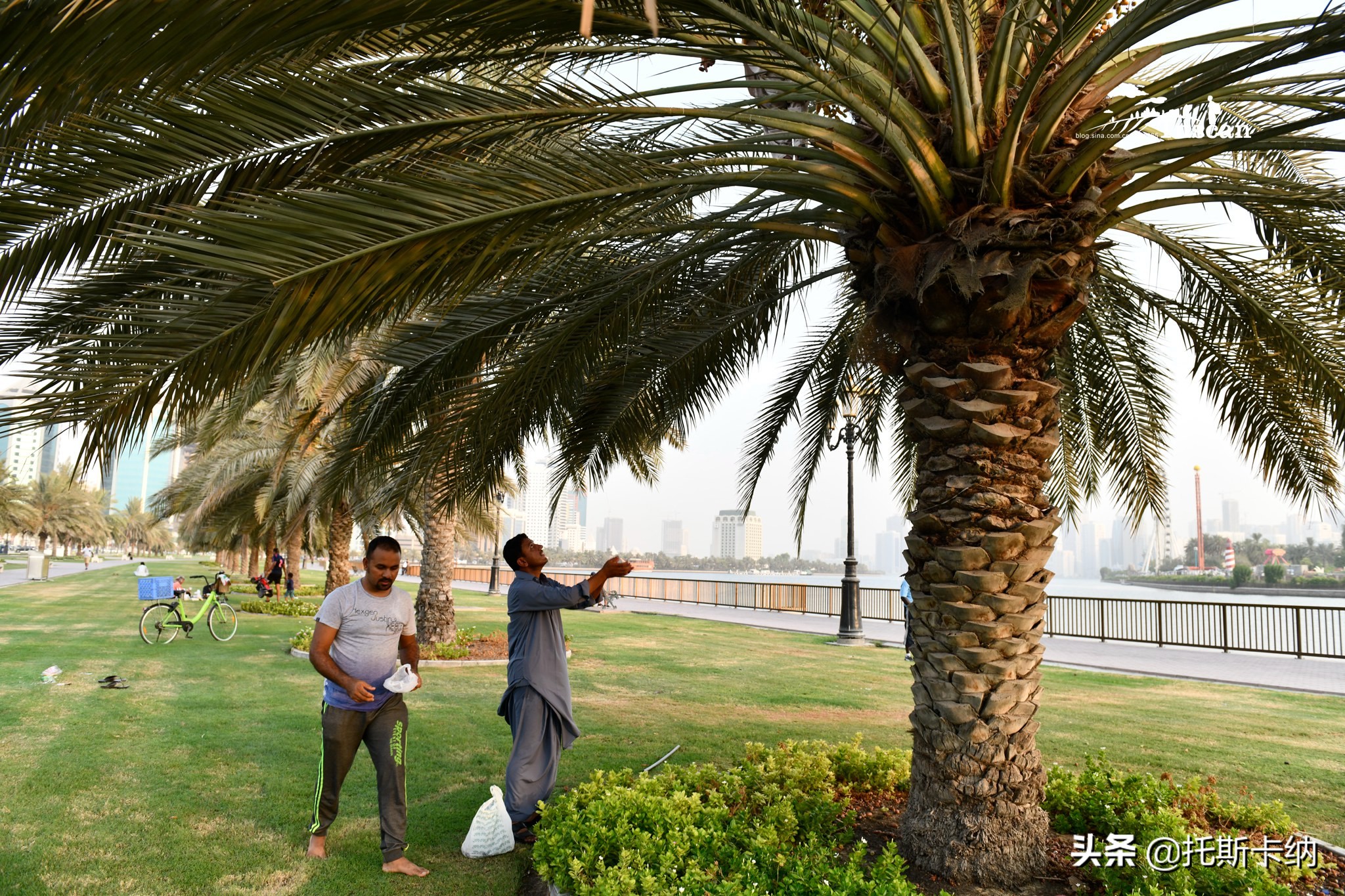 阿联酋沙迦有什么好玩,阿联酋沙迦景点介绍