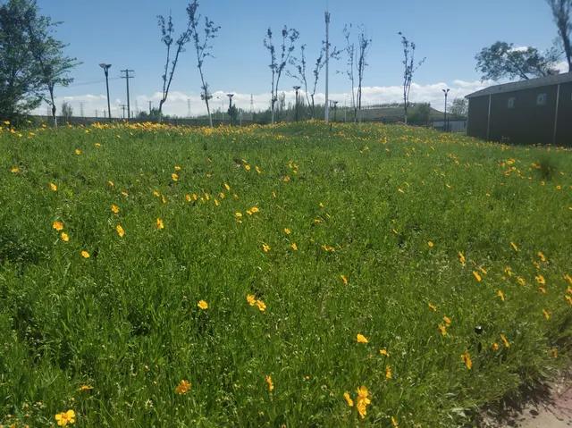 乌鲁木齐2021年新开的公园有哪些,乌鲁木齐全部公园