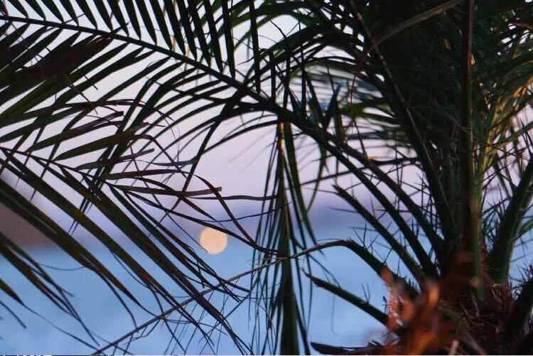 五一昆明周边游适合孩子玩的地方,昆明五一旅游景点攻略自由行