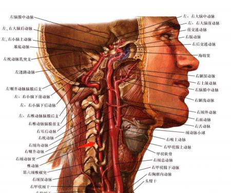 女子打电话后大哭晕厥,连续打了3个小时电话头晕