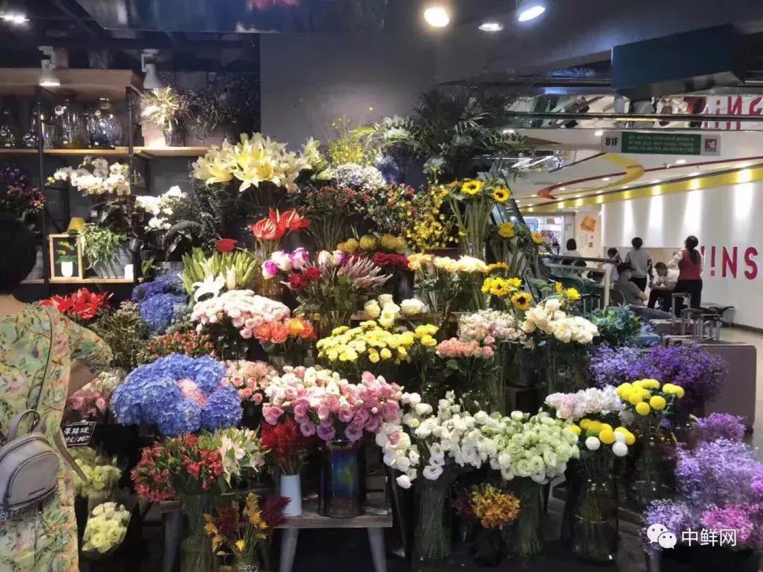 最近访客怎样处理,最近访客怎么总消失