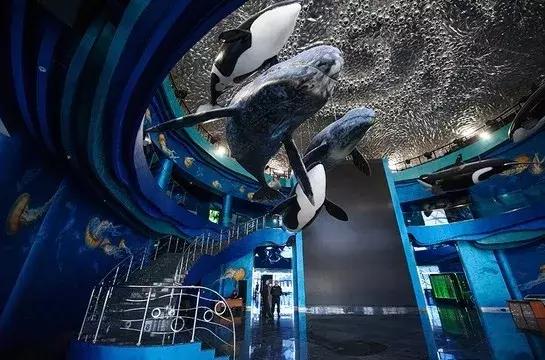 一直被我们轻忽的那个离我们很近的欧洲