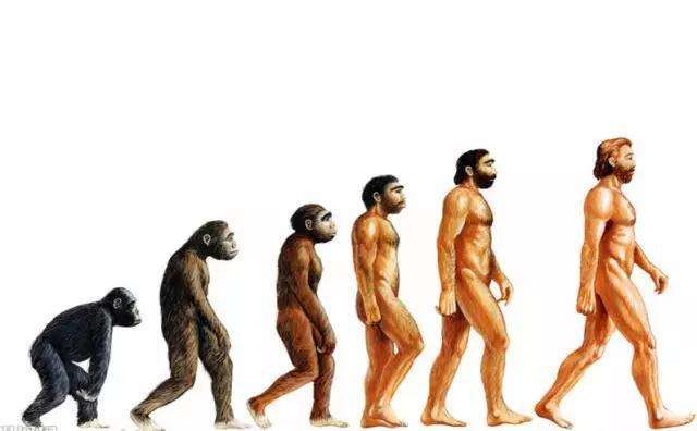 男士剃须三个阶段,男人剃须历史