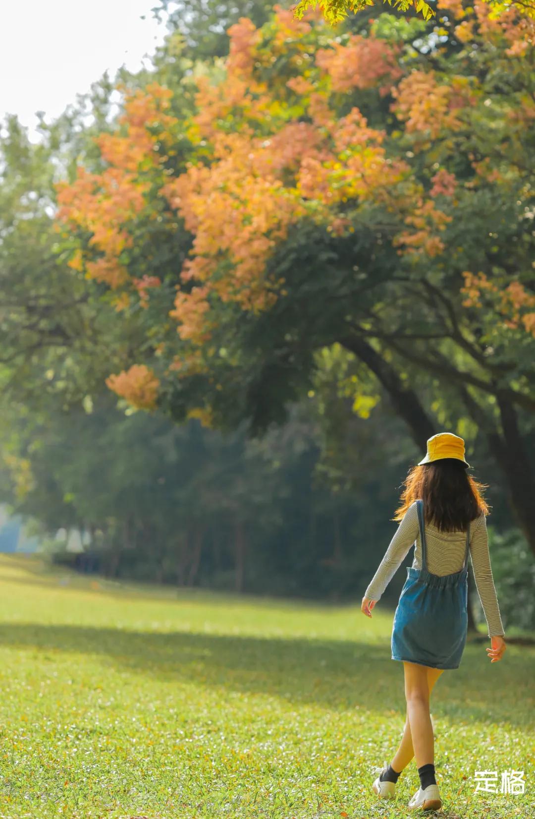 莲花山公园网红打卡地,即墨莲花山公园网红打卡地
